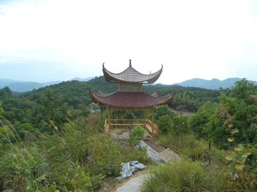 溆浦湘楚木作古建工程有限公司,土家吊腳樓,侗鄉(xiāng)鼓樓,侗鄉(xiāng)風雨樓哪里好